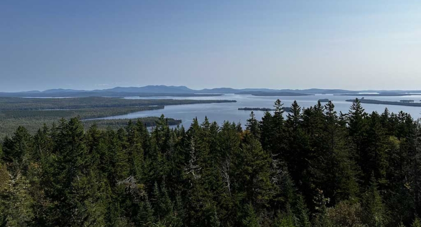 From a high elevation, there are trees and blue body of water below. 